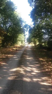 Paysage naturel près de la maison de vacances
