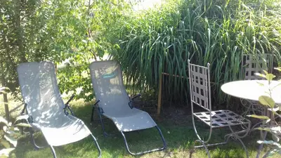 Jardin de l'établissement Cagouille