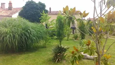 Jardin de l'établissement Cagouille