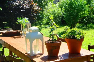 Jardin de l'établissement Domaine Charente Glamping Familyroom Le Jardin with external toilet & shower house & outdoor kitchen