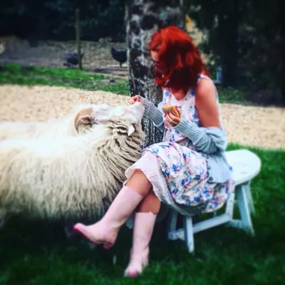 Animaux dans le B&B/chambre d'hôtes ou à proximité