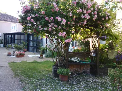 Jardin de l'établissement la Rosaliere
