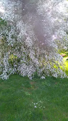 Jardin de l'établissement Gite Le Clos Constance