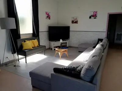 Télévision ou salle de divertissement dans l'établissement Les gîtes du Thouet