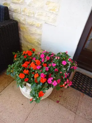 Jardin de l'établissement Aux Orangers