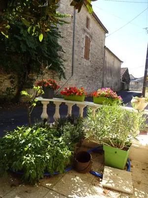 Jardin de l'établissement Aux Orangers