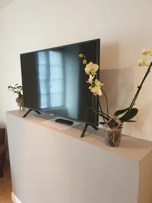 Télévision ou salle de divertissement dans l'établissement La jolie chambre