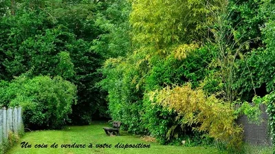 Jardin de l'établissement 