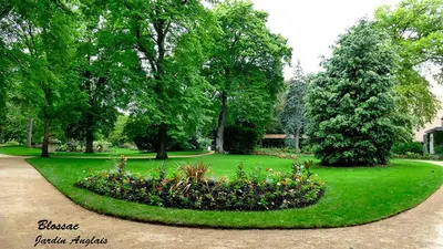 Jardin de l'établissement 