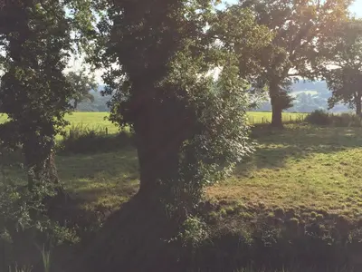 Paysage naturel près de le B&B/chambre d'hôtes