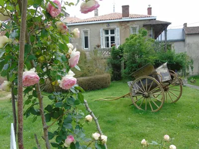 Jardin de l'établissement Eco Logis de Chantegrolle