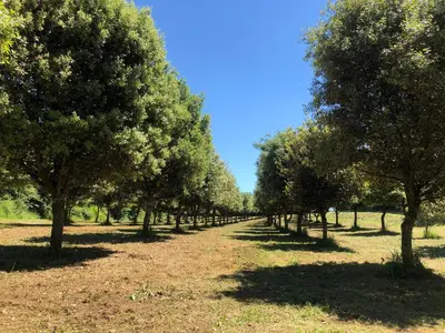 Jardin de l'établissement La Maison du Gardien Domaine du Château des Loups