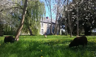 Jardin de l'établissement LePireauFr Gîtes Piscine chauffée