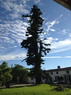 Jardin de l'établissement le Logis du Plessis