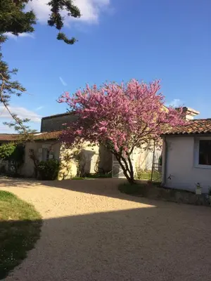 Jardin de l'établissement le Logis du Plessis