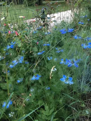 Jardin de l'établissement Campagn'Art