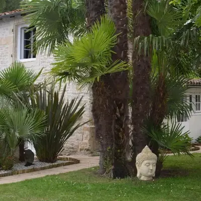 Le Petit bois