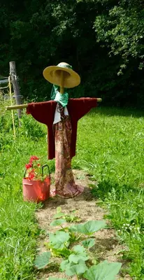 Jardin de l'établissement Domaine d azac