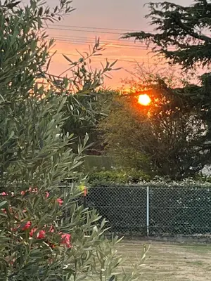 Lever ou coucher de soleil vu de le B&B/chambre d'hôtes ou à proximité