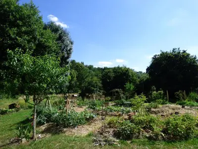 Jardin de l'établissement Au Son du Jardin Poitevin