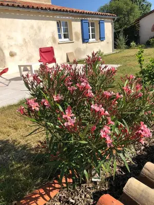 Jardin de l'établissement La Bénetière