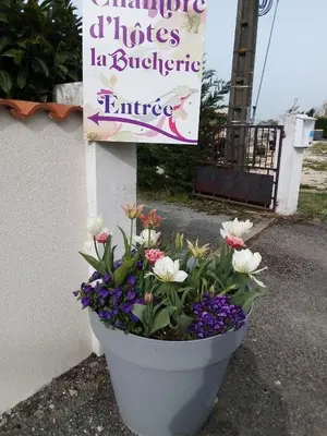 Jardin de l'établissement chambre d hotes