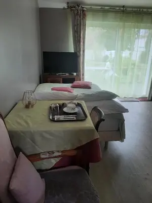 Télévision ou salle de divertissement dans l'établissement chambre d hotes