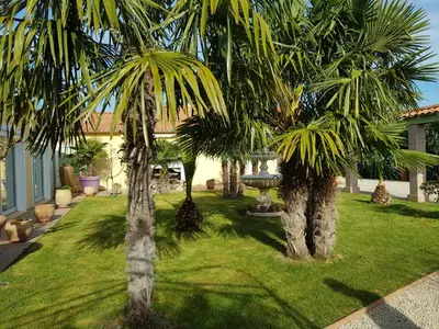 Jardin de l'établissement 19 Rue du Cadran
