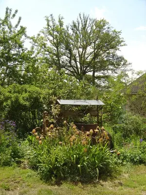 Jardin de l'établissement Les Trois Chenes