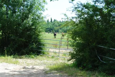 Paysage naturel près de l'appartement