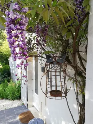 Jardin de l'établissement Varzay autour du puits