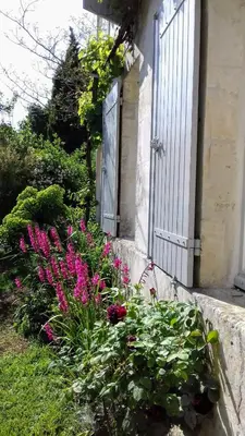 Jardin de l'établissement Varzay autour du puits