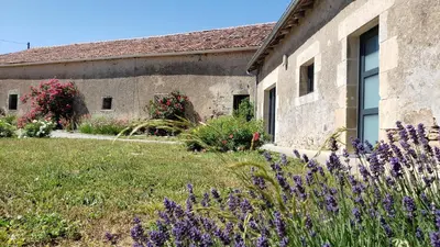 Jardin de l'établissement Gite de Villodier
