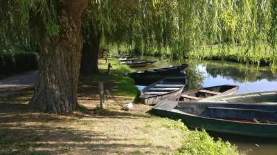 Vue sur la rivière ou le fleuve situé(e) à proximité de le B&B/chambre d'hôtes