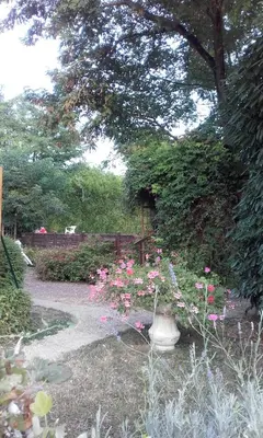 Jardin de l'établissement Logis Hôtel Beauséjour