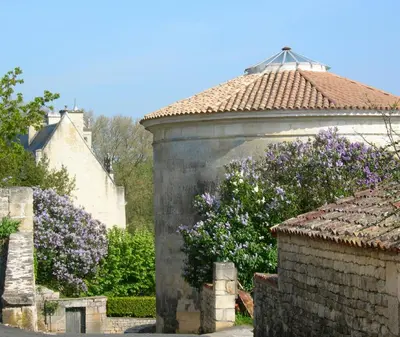 Jardin de l'établissement LA MAISON BLEUE