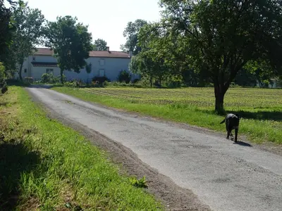 Animal ou animaux domestique(s) séjournant avec des clients dans l'établissement Coeur-de-charente-maritime, au fil de l'eau