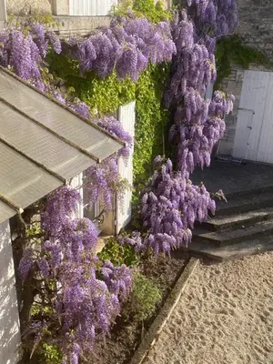 Jardin de l'établissement Le Gué Renard-un Balcon Sur La Charente