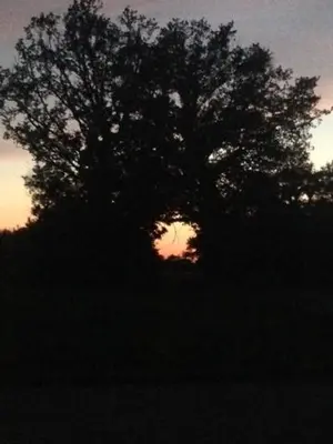 Lever ou coucher de soleil vu de le B&B/chambre d'hôtes ou à proximité