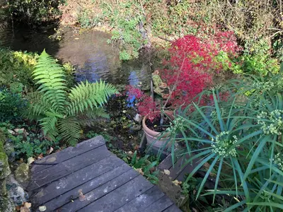 Jardin de l'établissement Chambre d'hôtes chez Denis et Margot