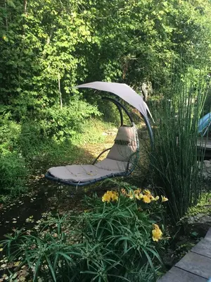 Jardin de l'établissement Chambre d'hôtes chez Denis et Margot