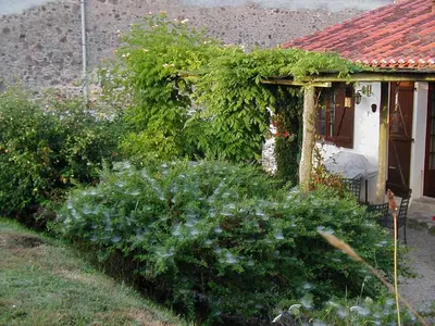 Jardin de l'établissement Le Pit