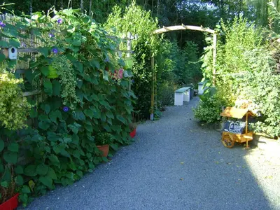 Jardin de l'établissement Les Roulottes de Saint-Sulpice