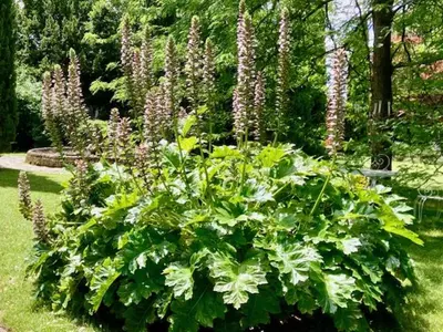 Jardin de l'établissement Domaine de Rennebourg