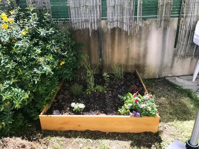 Jardin de l'établissement Les Trémières