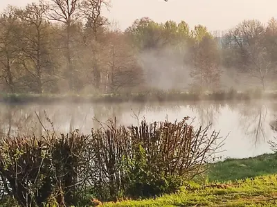 Paysage naturel près de le camping