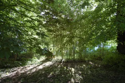 Paysage naturel près de la maison de vacances