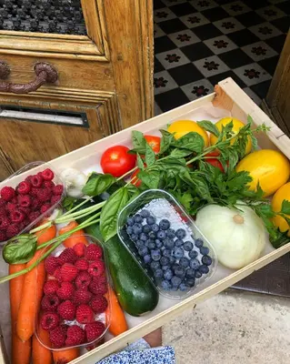 Nourriture dans l'appartement ou à proximité