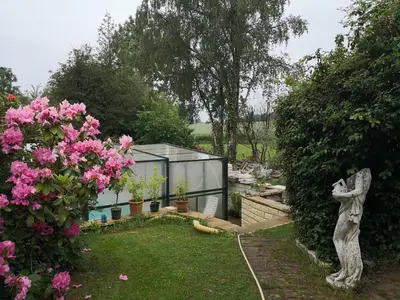 Jardin de l'établissement Au Jardin Fleuri