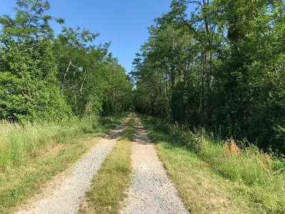 Paysage naturel près de la tente de luxe